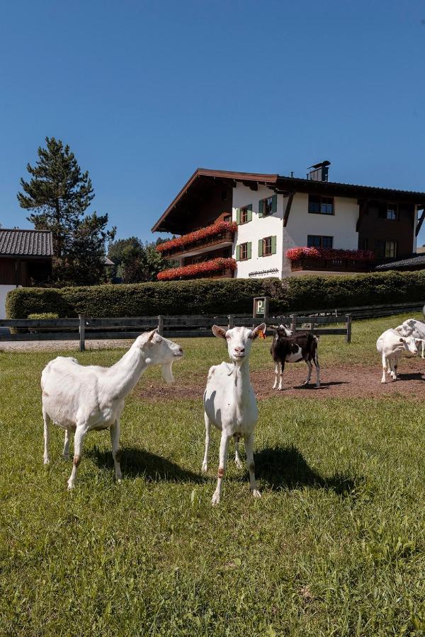 Gaestehaus Bramboeck Bad Häring Zewnętrze zdjęcie
